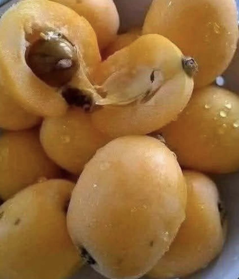 Traditional Apricot (Mishmish) Jam