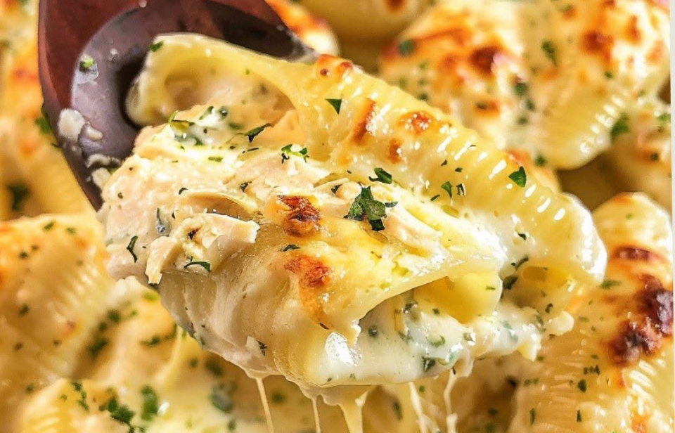 Million Dollar Chicken Alfredo Stuffed Shells